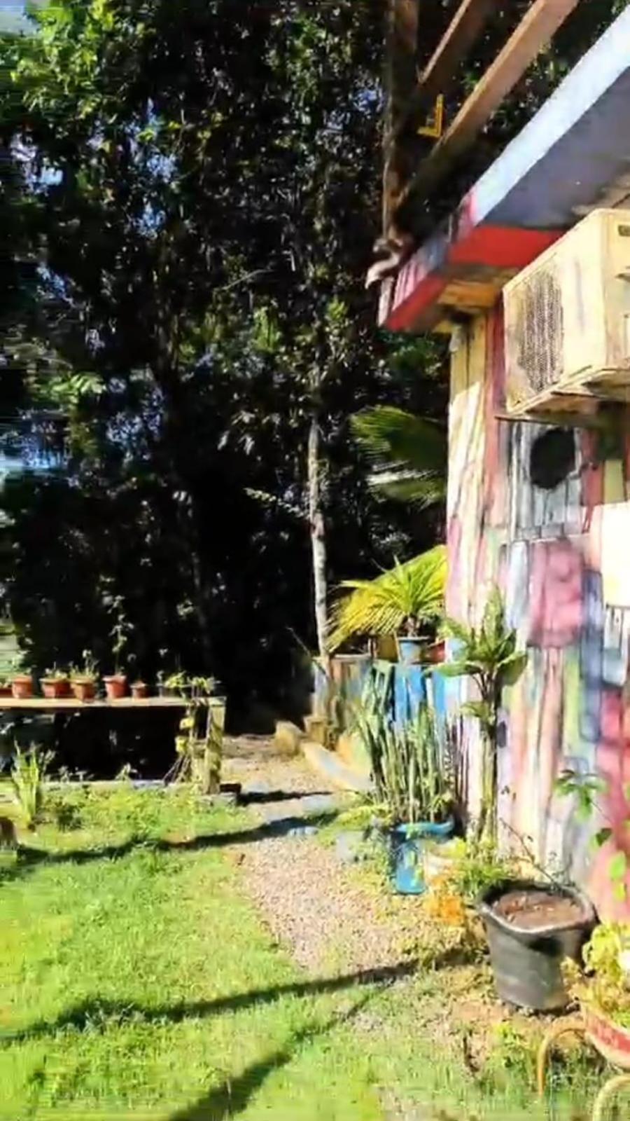A Figueira Sagrada - Hostel モロ・デ・サンパウロ エクステリア 写真